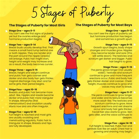 teen pussy pic|Stages of Puberty Explained in Pictures